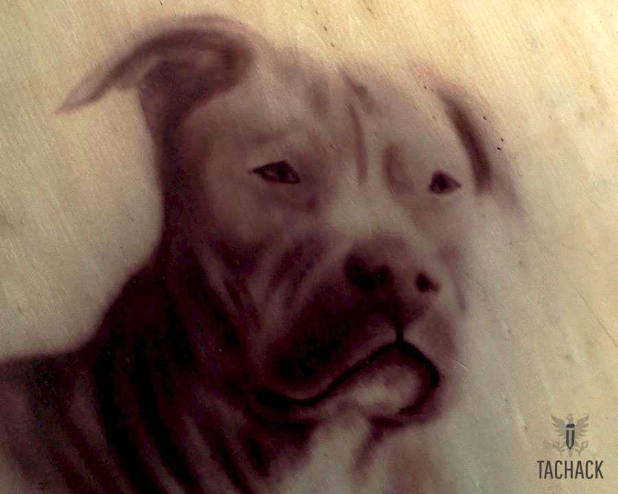 aerografias de perros pitbull